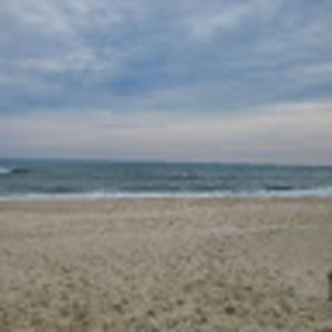 Meet your Posher, Kendall